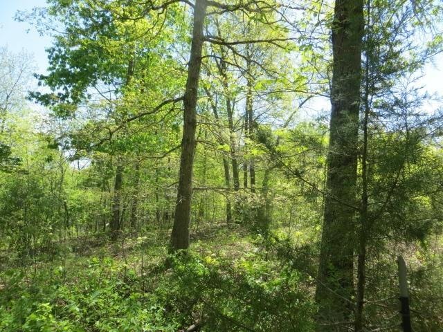 Land for Sale in Arkansas1