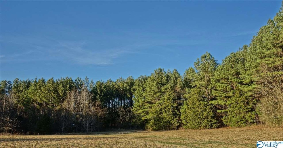 6.80 acres.  208 ft deep x 1400 wide. Has deeded easement/egress from J.B. Hawkins Rd. This is looking north.