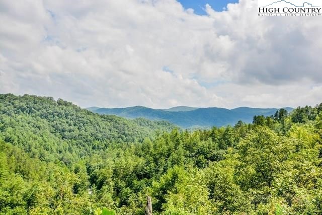 Lot 30 Inkberry Dr, Ferguson, NC 28624 - photo 1