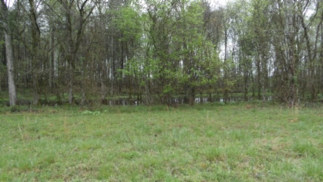 0 Denton Rd, Moss, TN 38575 - photo 1