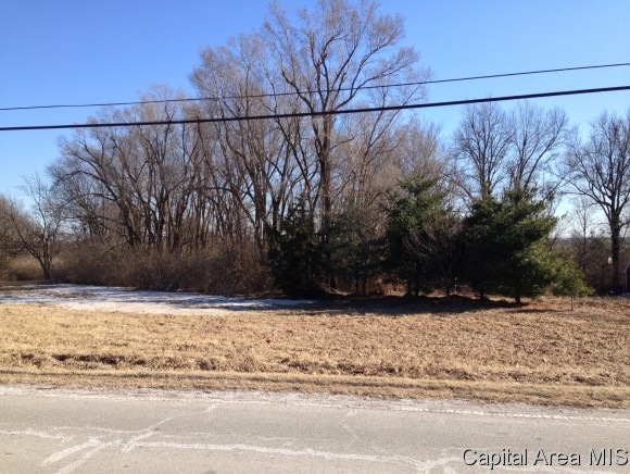 2343 Mound Rd, Jacksonville, IL 62650 - photo 1