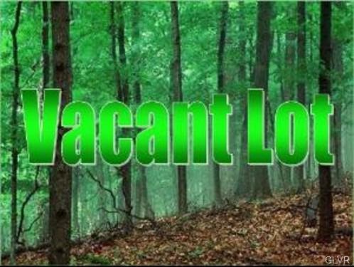 0 Lot A3 01 County Line Dr, Mahoning Township, PA 18235 - photo 1