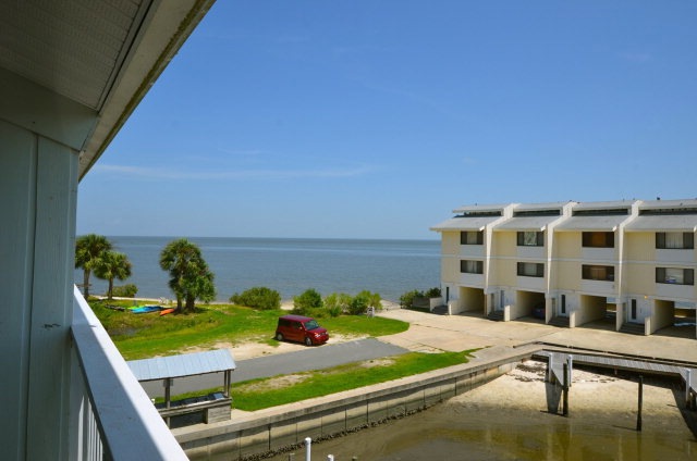 Main View