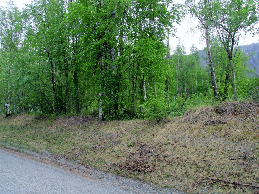 Property from the road w/mountain views