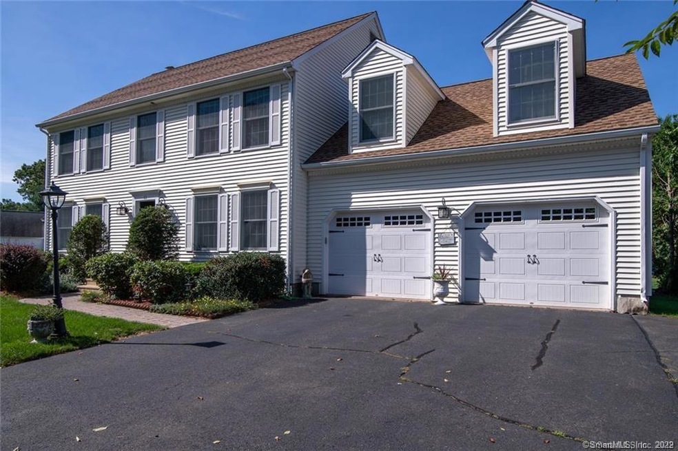 53 Duck Pond Crossing, Plantsville, CT 06479 - photo 1