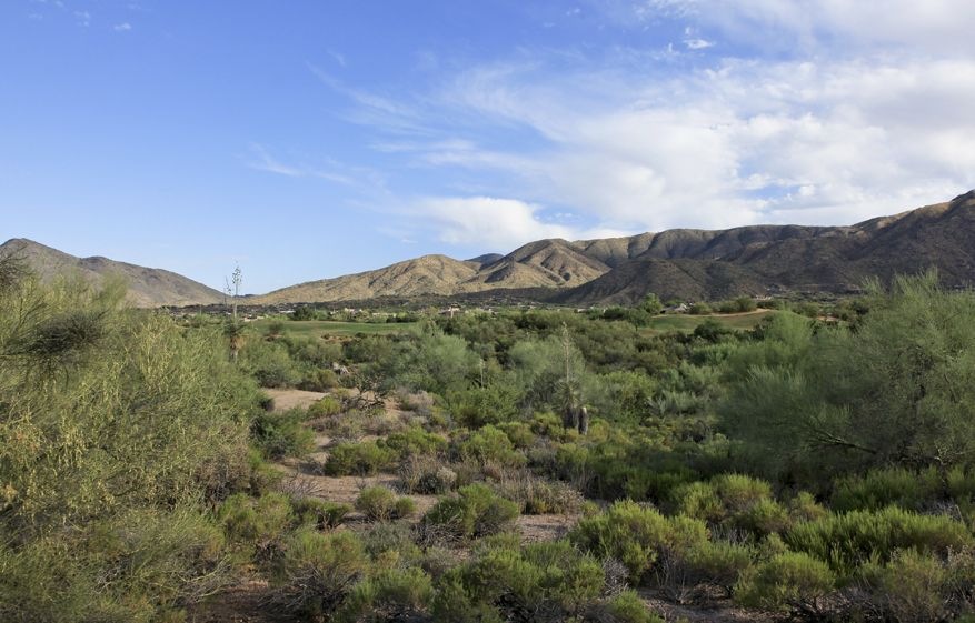 Desert Mountain