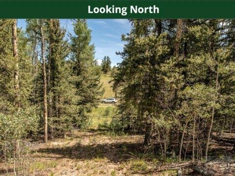 520 Rawhide Dr, Como, CO 80432 - photo 1