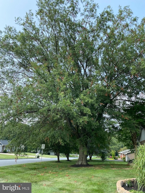 8001 Mckenstry Dr, Laurel, MD 20723 - photo 1