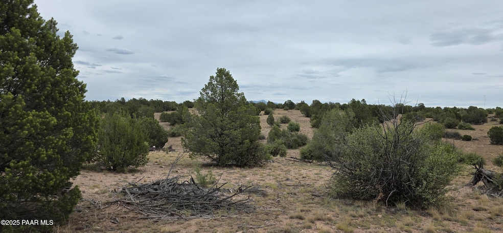 408 N2 Caprica Rd, Ash Fork, AZ 86320 - photo 1