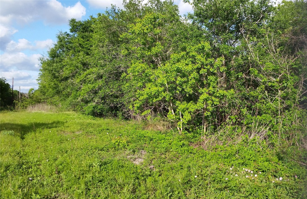 Lot 52 Oak Dr, Brazoria, TX 77422 - photo 1