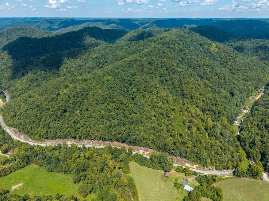 4000 State Highway 1482, Oneida, KY 40972 - photo 1