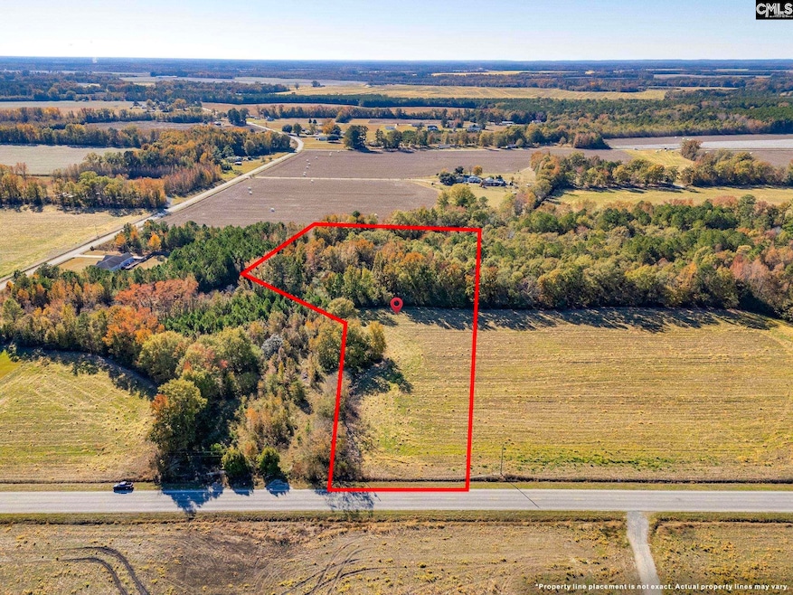 536 Elliott Hwy, Wisacky, SC 29010 - photo 1