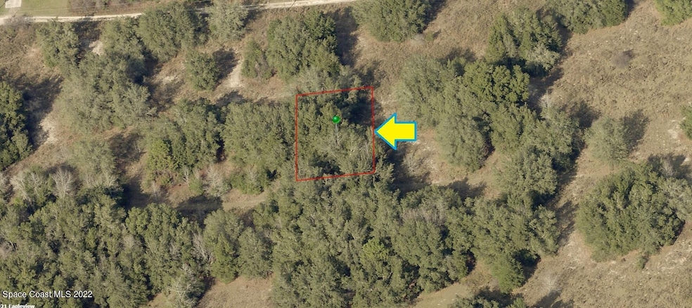 2308 Jefferson St, Inverness, FL 34453 - photo 1