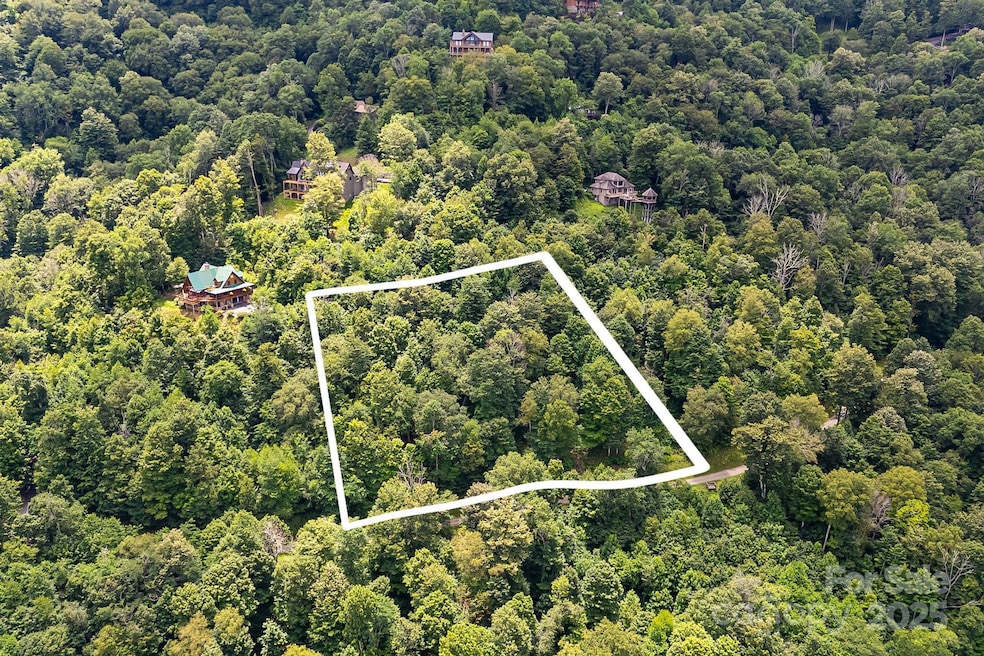 17 Mountain Gait Dr unit 17, Mars Hill, NC 28754 - photo 1