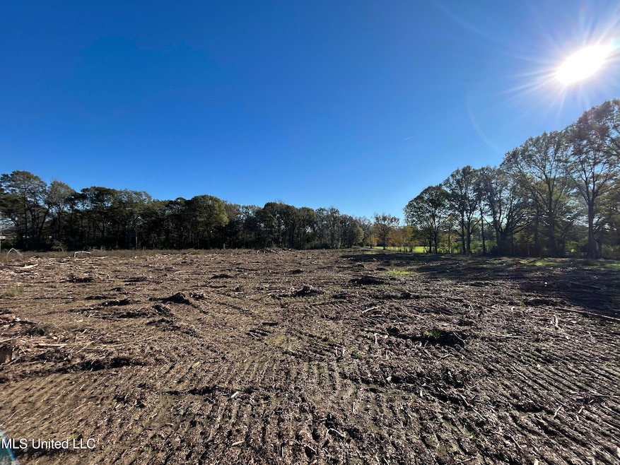 0 Warren Cook Rd, Mendenhall, MS 39114 - photo 1