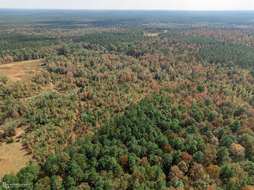 200 Martin Rd, Plain Dealing, LA 71064 - photo 1