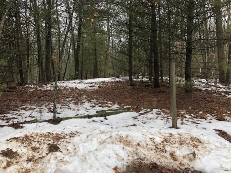 V/L Noonans Trail, Harrison, MI 48625 - photo 1