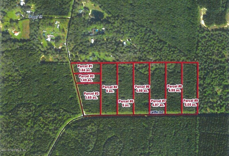 Lot 8 Griffin Rd, Callahan, FL 32011 - photo 1