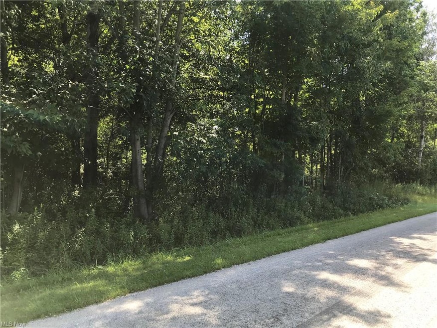 0 Hall Rd, Andover, OH 44003 - photo 1