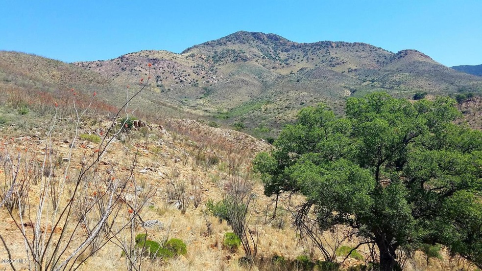 Hidden Valley Road