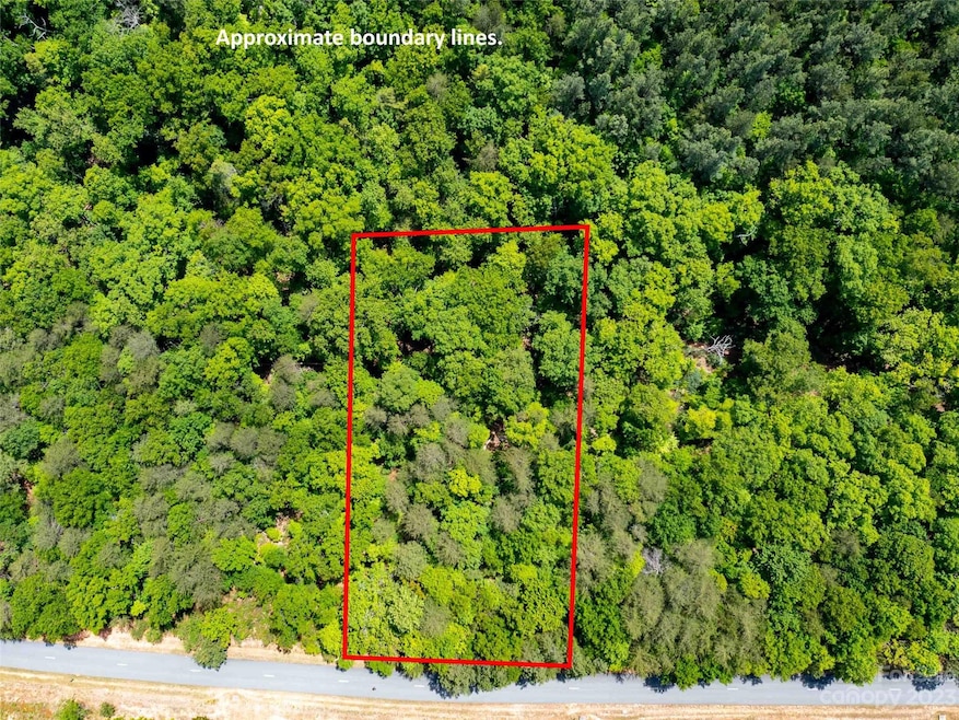 LOT 2009 Deep Gap Farm Rd E, Mill Spring, NC 28756 - photo 1
