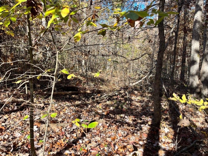 Lot 10 Eddy Ln, Bella Vista, AR 72715 - photo 1