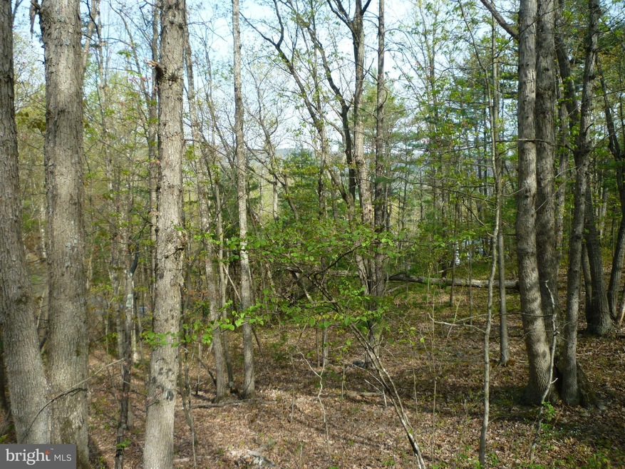 0 Lot # 72 Mallard Dr unit VASH2003080, Basye, VA 22810 - photo 1