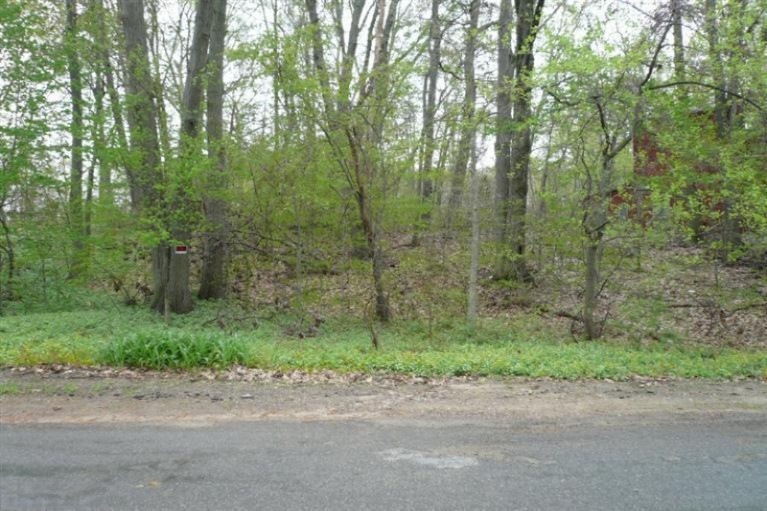 Primary Photo