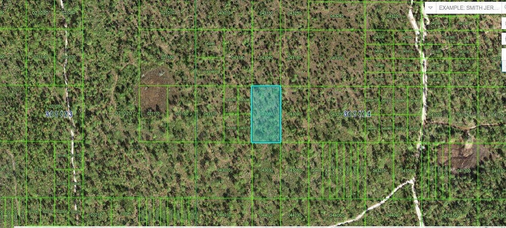 0 N A unit MFRO6228668, Frostproof, FL 33843 - photo 1