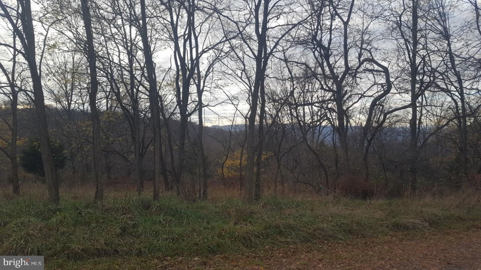 0 High View Rd unit WVHS114982, Purgitsville, WV 26852 - photo 1
