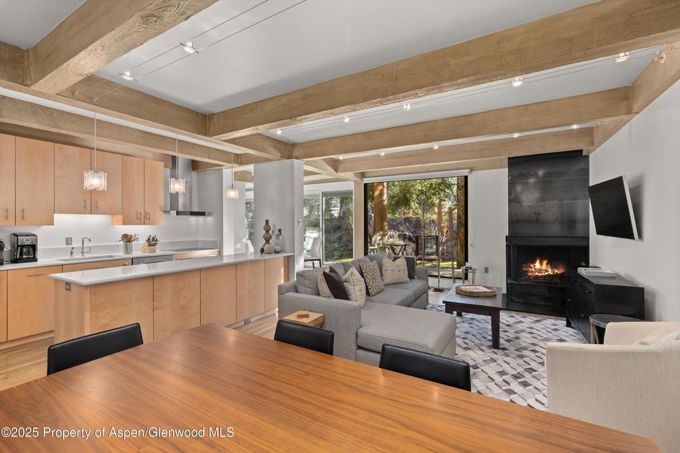 1034 E Cooper Ave unit 24A, Aspen, CO 81611 - photo 1