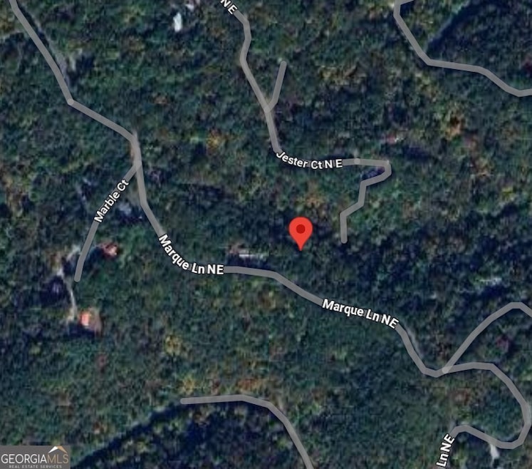 448 Marque Ln NE, Ranger, GA 30734 - photo 1
