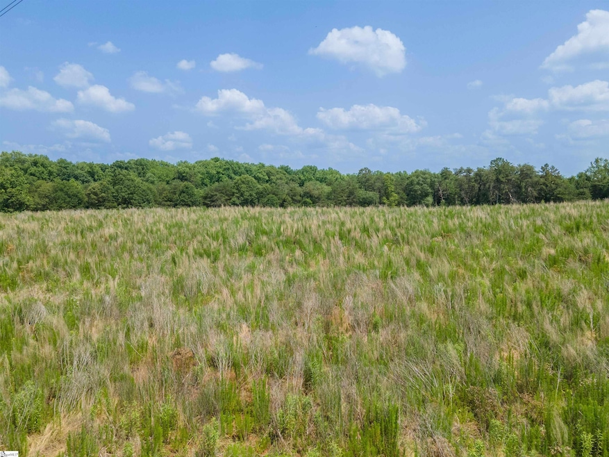 0 Cooley Springs Shchool Rd unit 1560360, Chesnee, SC 29323 - photo 1