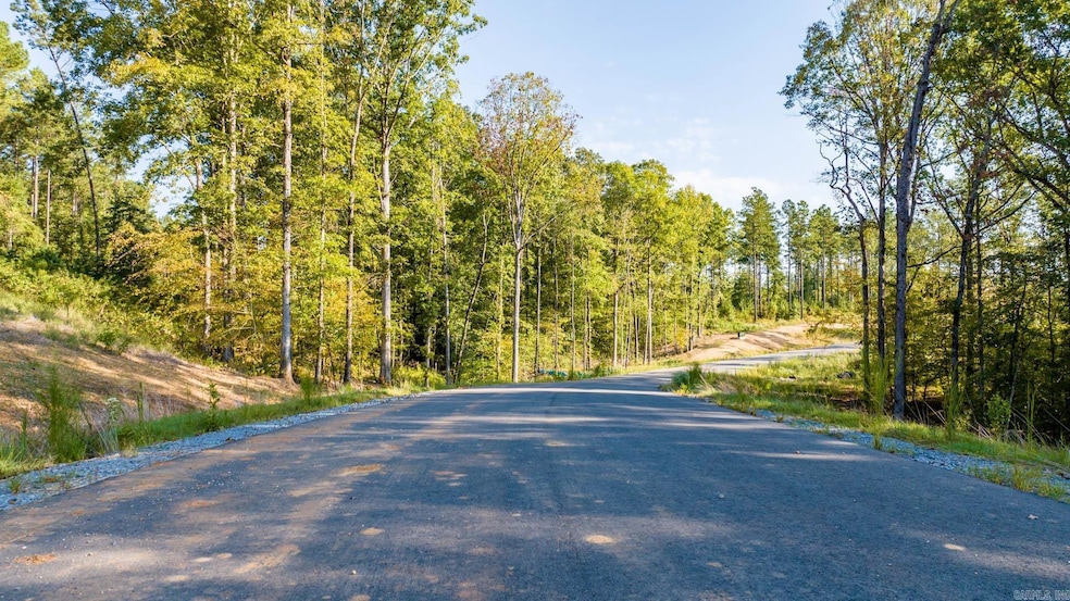 2048 Canyon Creek Pkwy, Benton, AR 72019 - photo 1