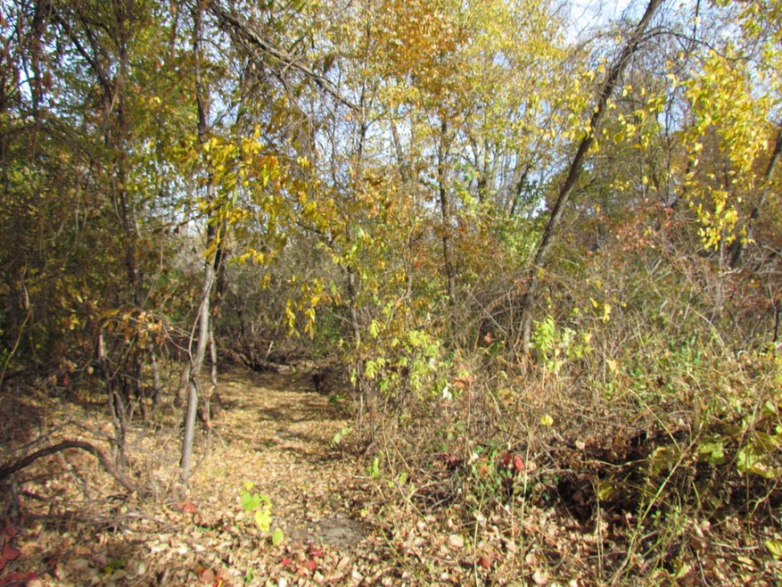 Sold $42,500 • Co-Listing Agent