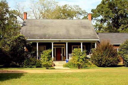 Main View