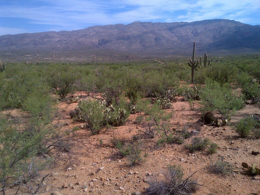 Tucson-20140721-00376