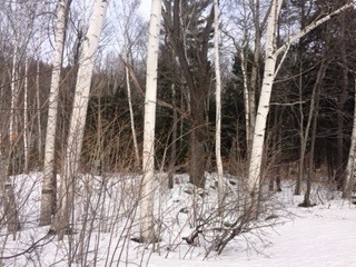 Forest Ridge & Kancamagus Hwy, Lincoln, NH 03251 - photo 1