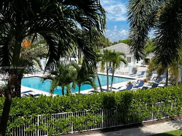 Pool View from Living Room
