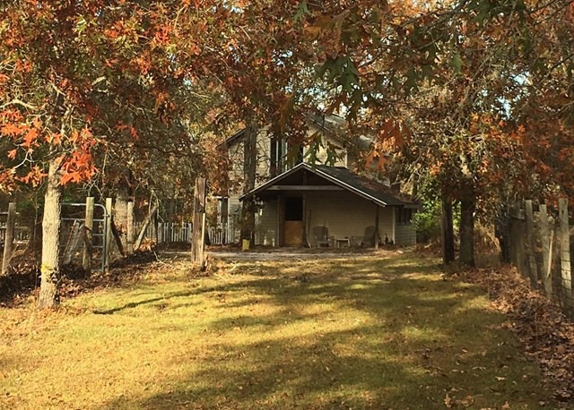 Main View