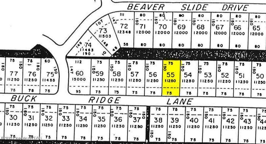 144 Buck Ridge Ln, Drums, PA 18222 - photo 1