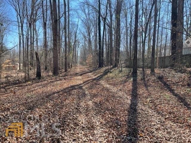 1645 Holman Autry Rd, Danielsville, GA 30633 - photo 1