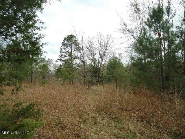 0 Burt Loop 5.23 acres+-