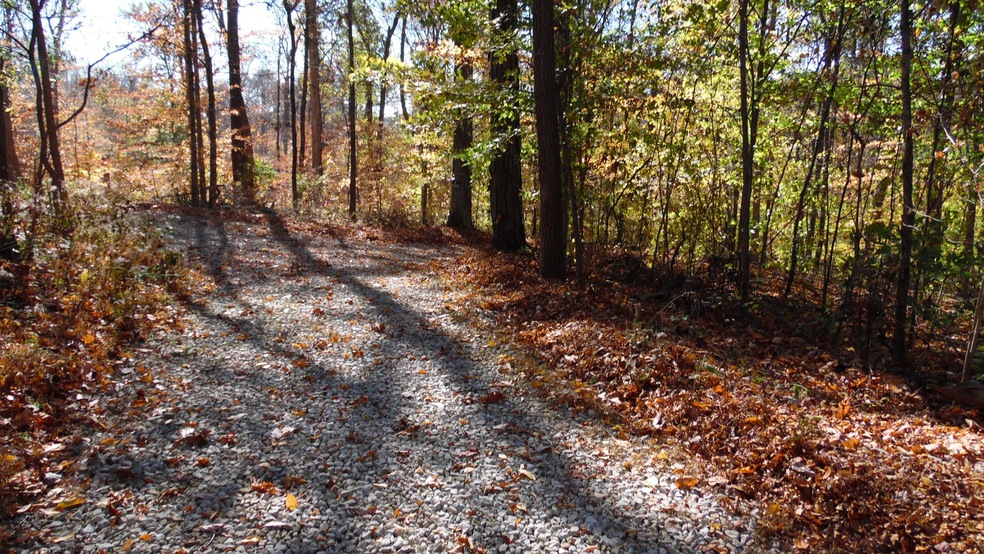 Sold $47,500 • Co-Listing Agent