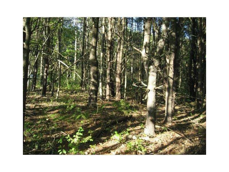 0 Ledge Rd, Yarmouth, ME 04096 - photo 1