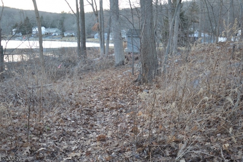 31 Oslo Dr, Rockaway Twp., NJ 07866 - photo 1