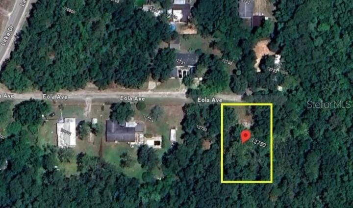 12730 Eola Ave, New Port Richey, FL 34654 - photo 1