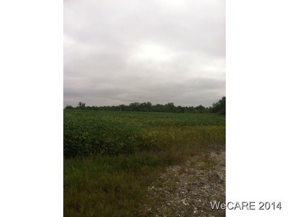 unlisted-address, Wapakoneta, OH 45895 - photo 1