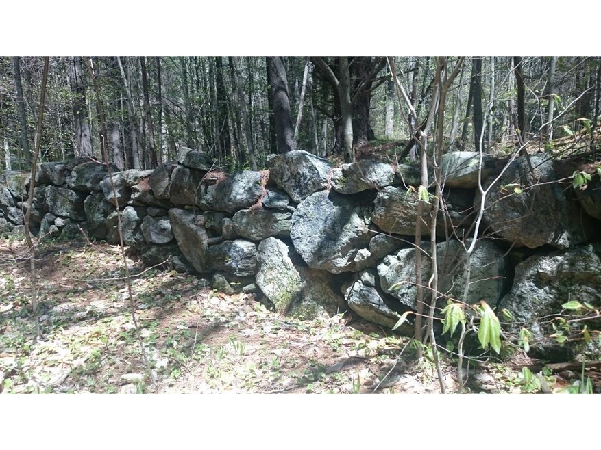 0 Willey unit Lot 13 4490202, Milton, NH 03852 - photo 1