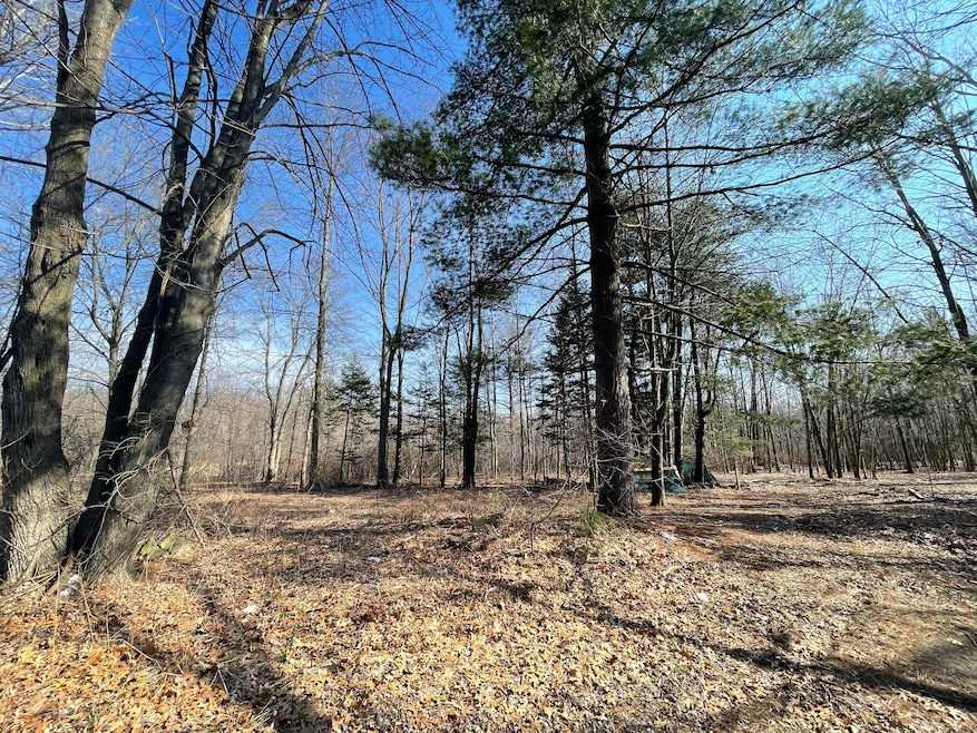 Back of property